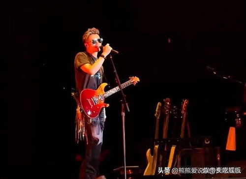 谢霆锋晒香港演唱会照片